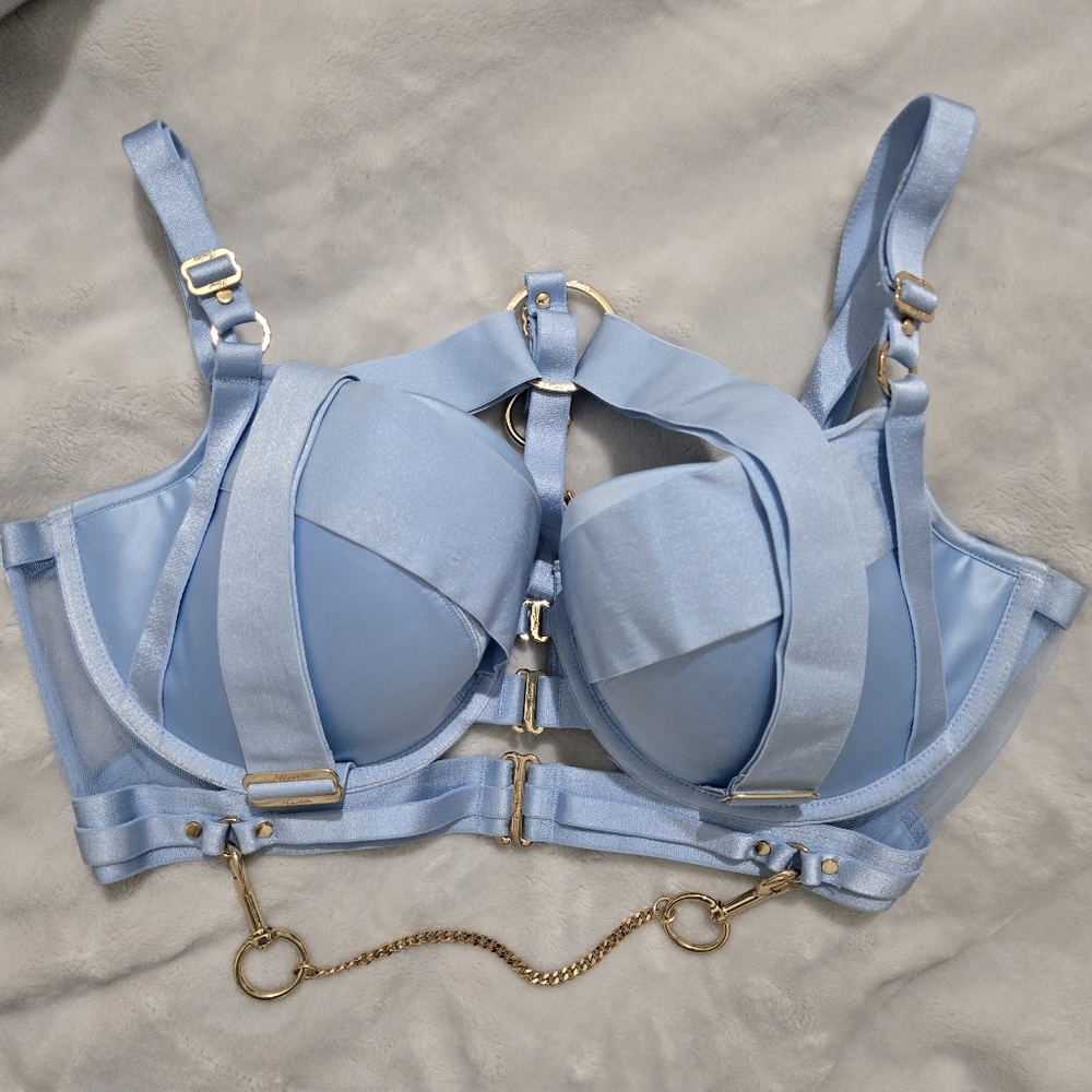 Honey Birdette KUKURO Baby Blue Bra 36G